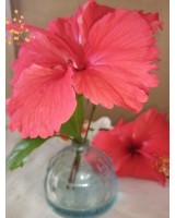 Mini vase