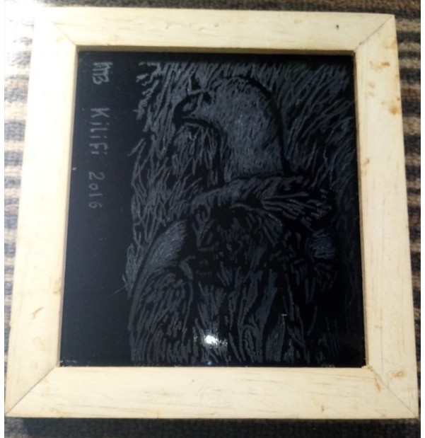 Framed vulture